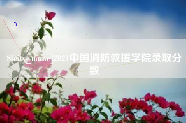 玉林2021中国消防救援学院录取分数