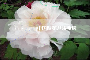 玉林中国队第八块金牌
