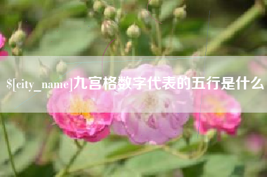 玉林九宫格数字代表的五行是什么
