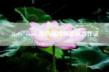 玉林消防证国网查询操作证