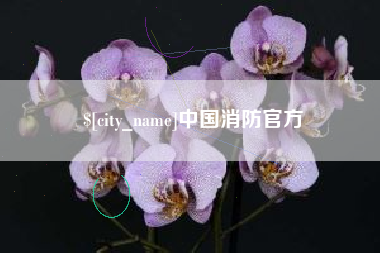 玉林中国消防官方