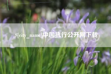 玉林中国执行公开网下载