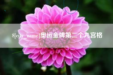 玉林奥运金牌第二个九宫格