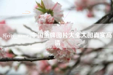玉林中国金牌图片大全大图真实高清