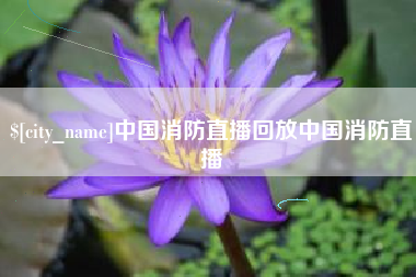 玉林中国消防直播回放中国消防直播
