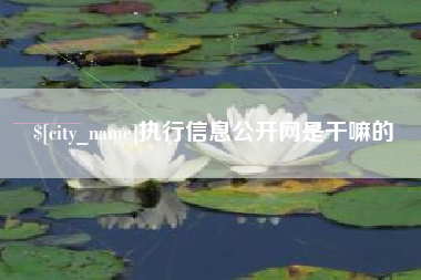 玉林执行信息公开网是干嘛的