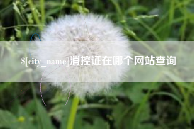 玉林消控证在哪个网站查询