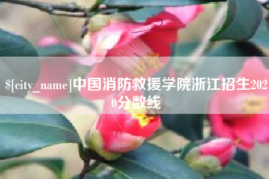 玉林中国消防救援学院浙江招生2020分数线