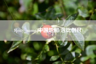 玉林中国地图(含比例尺)