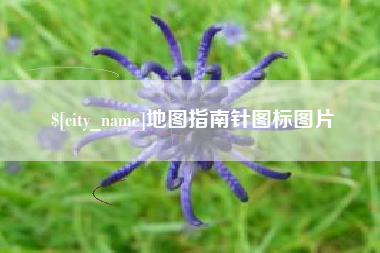 玉林地图指南针图标图片