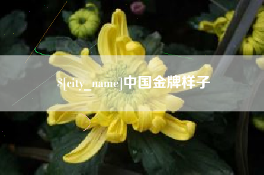 玉林中国金牌样子