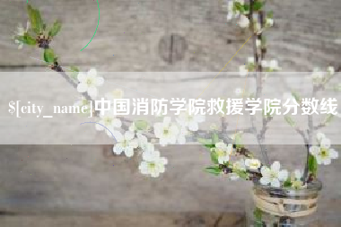 玉林中国消防学院救援学院分数线