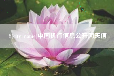 玉林中国执行信息公开网失信