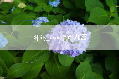 玉林2022九宫