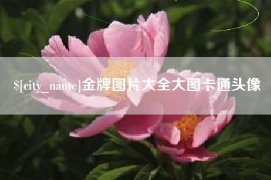 玉林金牌图片大全大图卡通头像