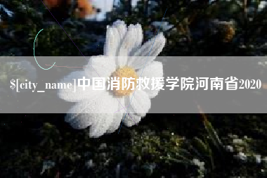 玉林中国消防救援学院河南省2020